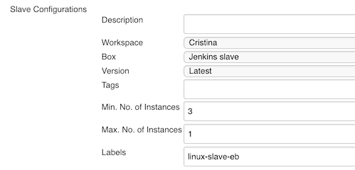 Jenkins slaves config detail.png